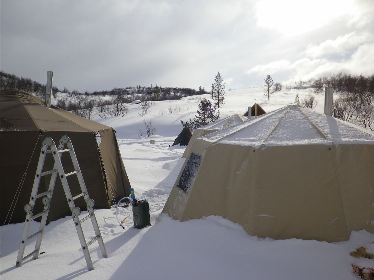 Dogs sledge37